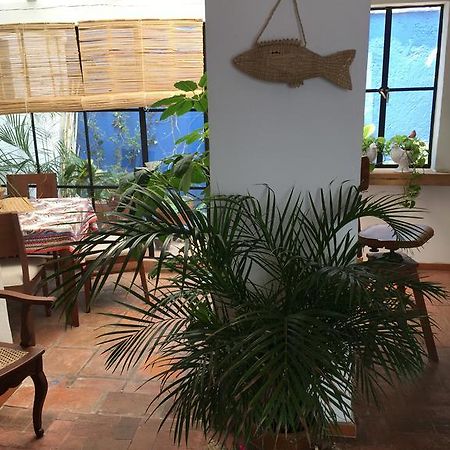 Casa Molcajete Apartment Mexico City Ngoại thất bức ảnh