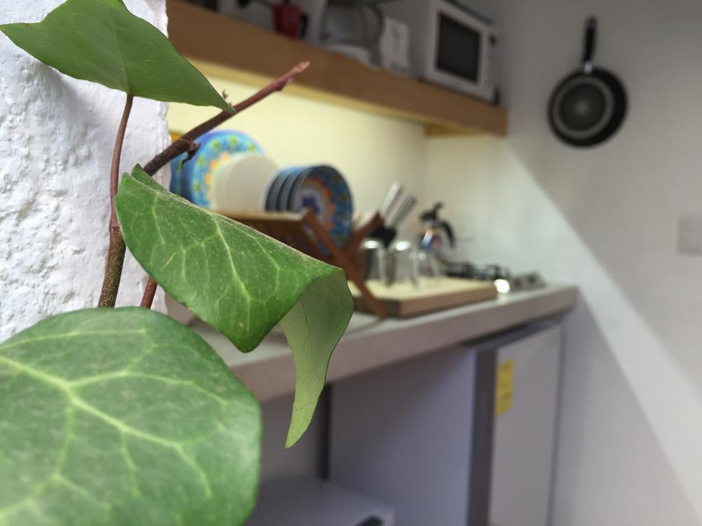 Casa Molcajete Apartment Mexico City Ngoại thất bức ảnh